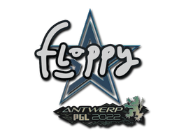 floppy | Antwerp 2022 image