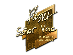 flusha (Gold) | Boston 2018 image