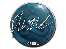 flusha | Katowice 2019 image