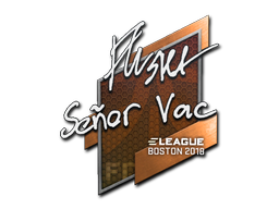 flusha | Boston 2018 image