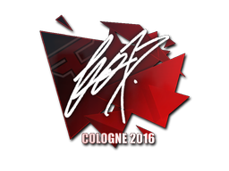 fox | Cologne 2016 image