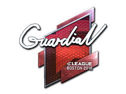 GuardiaN (Foil) | Boston 2018 image