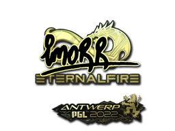 imoRR (Gold) | Antwerp 2022 image