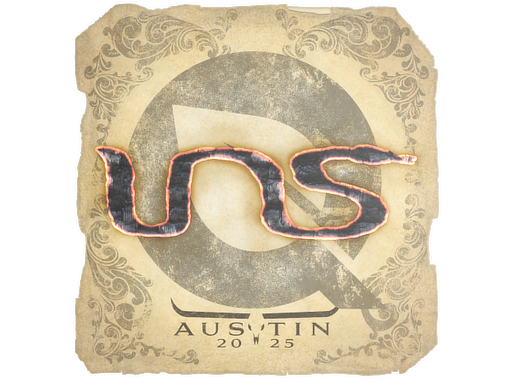 INS | Austin 2025 image