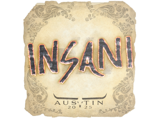 insani | Austin 2025 image
