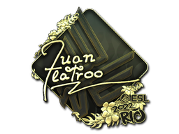 juanflatroo (Gold) | Rio 2022 image