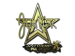 junior (Gold) | Antwerp 2022 image