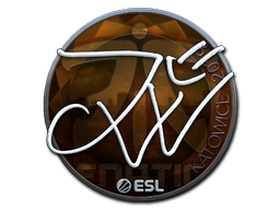 JW (Foil) | Katowice 2019 image