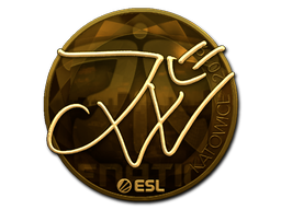 Sticker | JW (Gold) | Katowice 2019 image