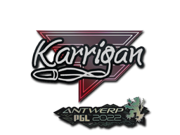 karrigan | Antwerp 2022 image