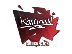 karrigan | Cologne 2016 image