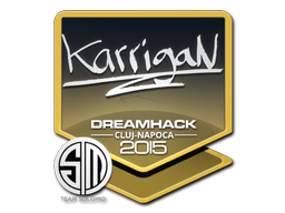 karrigan | Cluj-Napoca 2015 image