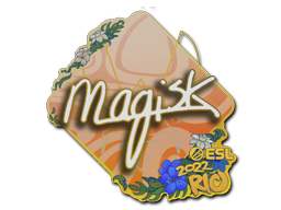Magisk | Rio 2022 image