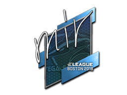 mir | Boston 2018 image