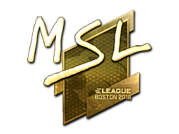 MSL (Gold) | Boston 2018 image