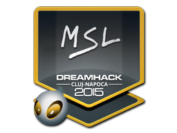 MSL | Cluj-Napoca 2015 image