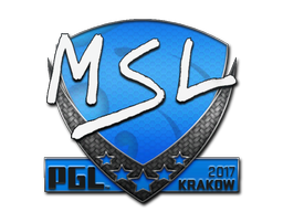 MSL | Krakow 2017 image