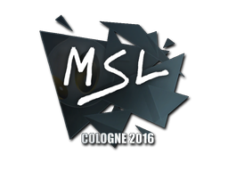 MSL | Cologne 2016 image