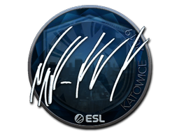 NAF (Foil) | Katowice 2019 image