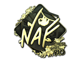 Sticker | NAF (Gold) | Rio 2022 image