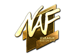NAF (Gold) | Boston 2018 image