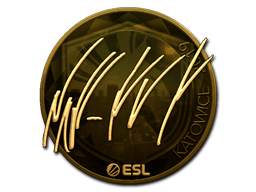 NAF (Gold) | Katowice 2019 image