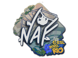 NAF | Rio 2022 image