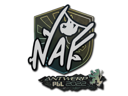 NAF | Antwerp 2022 image