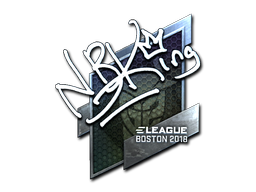 NBK- (Foil) | Boston 2018 image