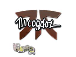 nicoodoz | Paris 2023 image