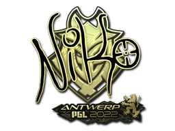 NiKo (Gold) | Antwerp 2022 image