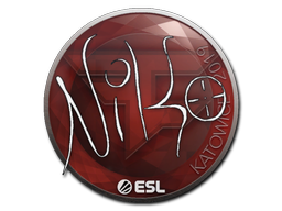 NiKo | Katowice 2019 image