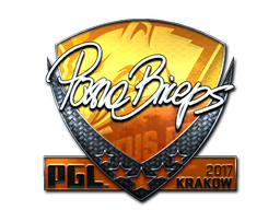 pashaBiceps (Foil) | Krakow 2017 image