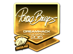Sticker | pashaBiceps (Gold) | Cluj-Napoca 2015 image