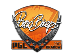 pashaBiceps | Krakow 2017 image