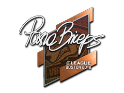 pashaBiceps | Boston 2018 image
