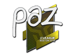 paz | Boston 2018 image