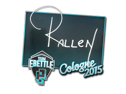 rallen | Cologne 2015 image