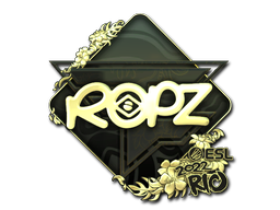ropz (Gold) | Rio 2022 image
