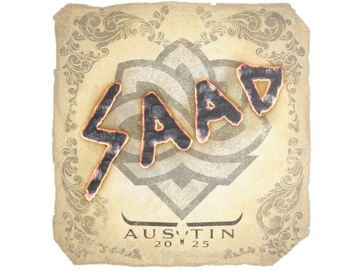 saadzin | Austin 2025 image