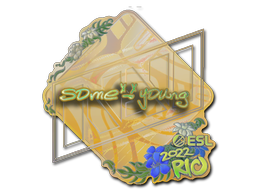 Sticker | sdy (Holo) | Rio 2022 image