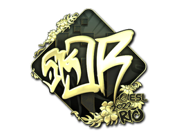 sk0R (Gold) | Rio 2022 image