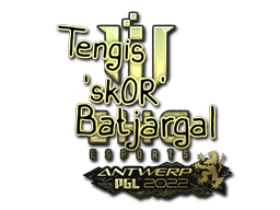 sk0R (Gold) | Antwerp 2022 image