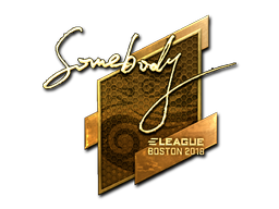 somebody (Gold) | Boston 2018 image
