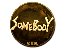 somebody (Gold) | Katowice 2019 image