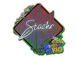 Sticker | Staehr (Glitter) | Rio 2022 image