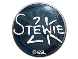 Stewie2K | Katowice 2019 image
