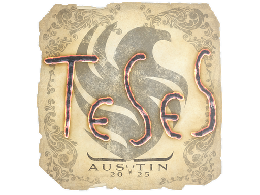 TeSeS | Austin 2025 image