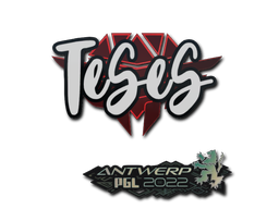 TeSeS | Antwerp 2022 image