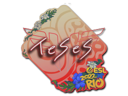 TeSeS | Rio 2022 image
